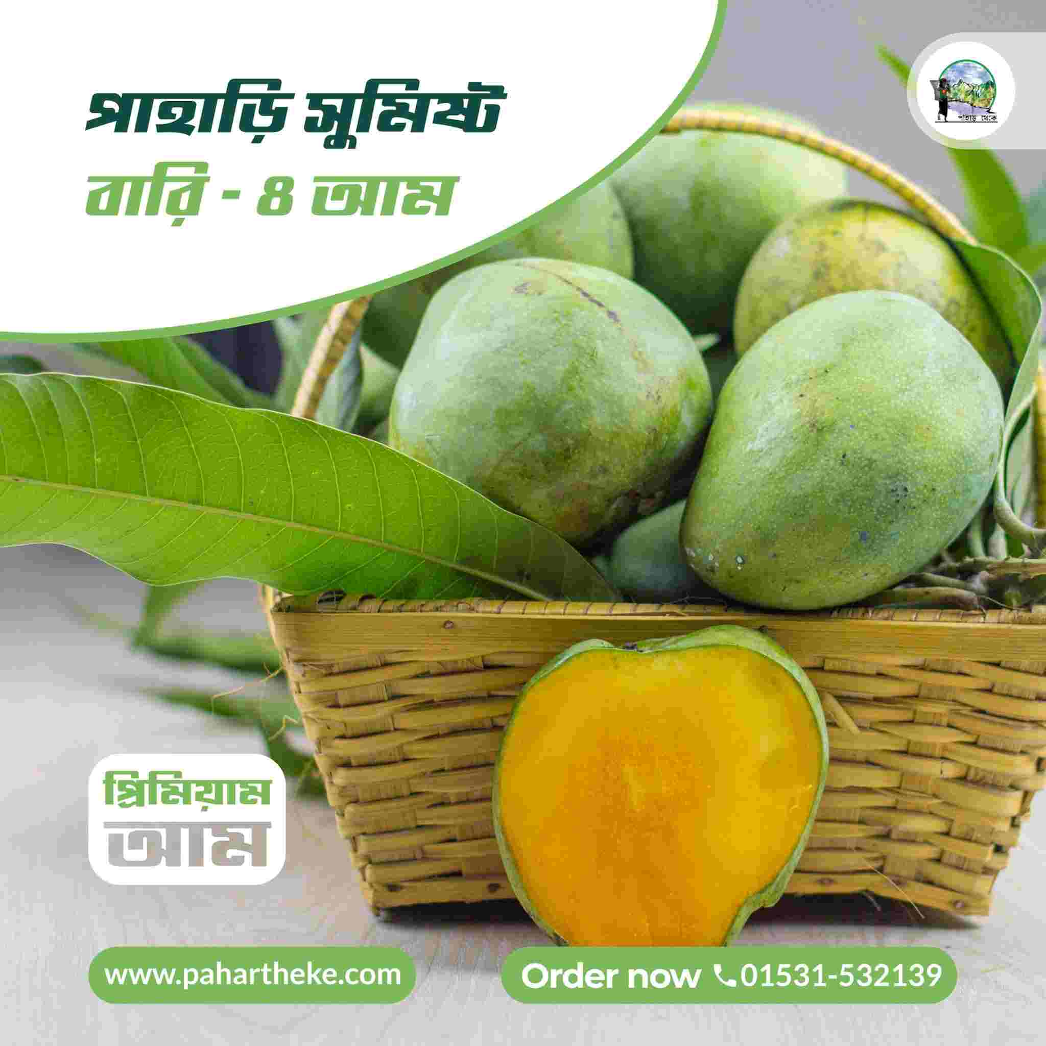 পাহাড়ি বারি - ৪  ( প্রিমিয়াম )