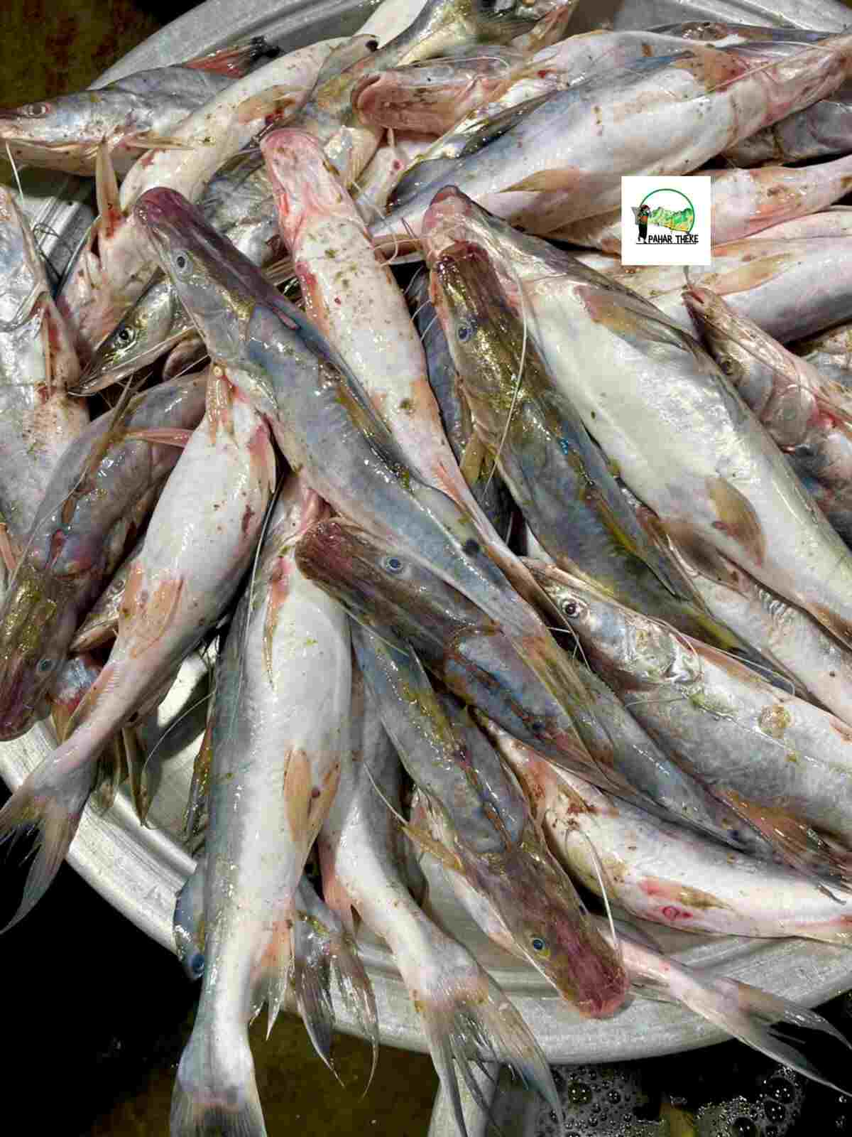 কাপ্তাই লেকের আইর মাছ  - ১ কেজি রেডি টু কুক প্যাক - ৫০০-৮০০ গ্রাম সাইজ।