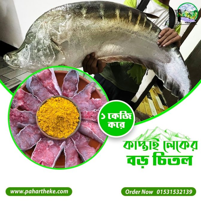 কাপ্তাই লেকের চিতল 3-5 কেজি - রেডি টু কুক ( ১ কেজি প্যাক )