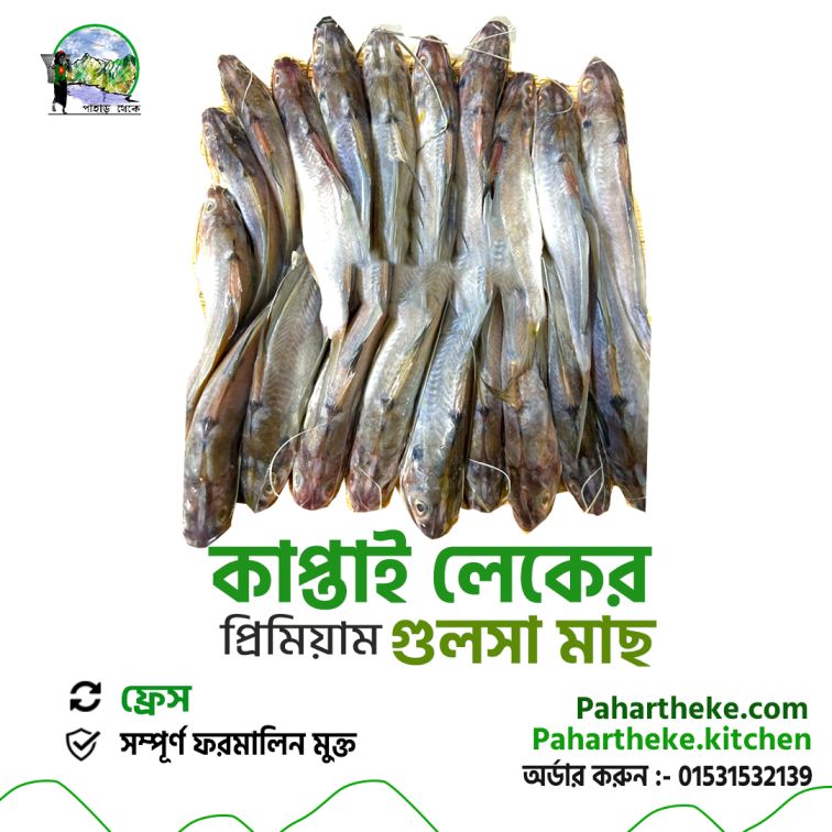 Gulsha fish - গুলশা মাছ | Kaptai Leke fish | - Pahar Theke