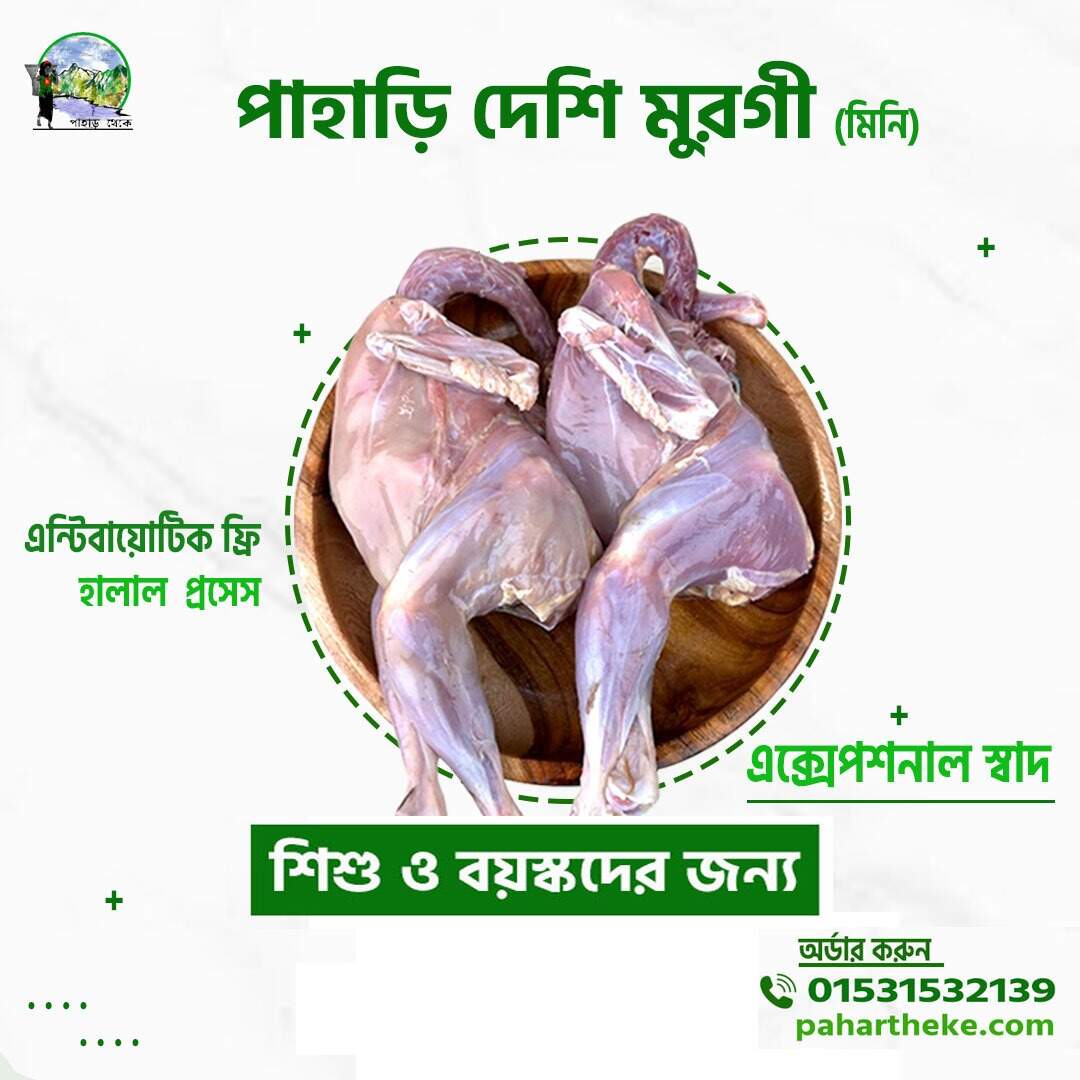 হিলি চিকেন মিনি -