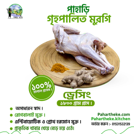 Mountain Rooster | পাহাড়ি দেশি মোরগ ( ড্রেসিং ) | - Pahar Theke