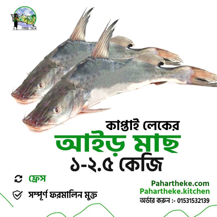 Air Fish | আইর মাছ | Kaptai Leke fish | - Pahar Theke