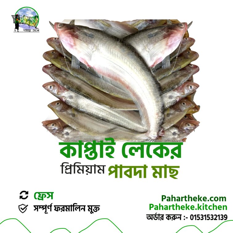 পাবদা মাছ - Kaptai Leke fish | - Pahar theke