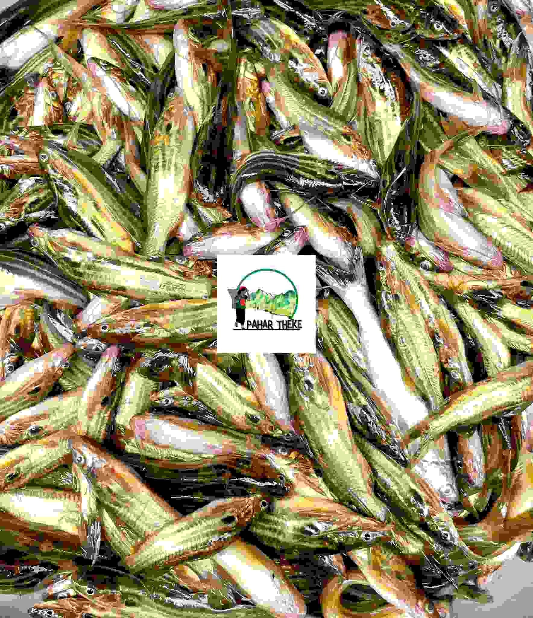 Kaptai Desi Tengra- Kaptai fish