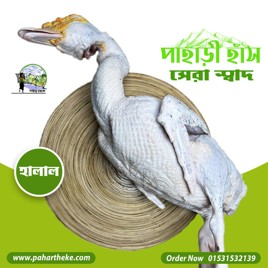 Mountain Duck meat - পাহাড়ি দেশী হাঁস | - Pahar Theke